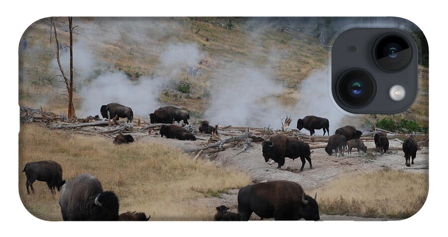 Bison iPhone 14 Case featuring the photograph Steam Bath by Jim Goodman