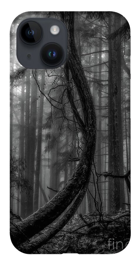 Tree iPhone 14 Case featuring the photograph Straightening up by David Hillier