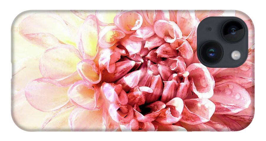 Dahlia iPhone 14 Case featuring the photograph Stunning pink dahlia flower head close up by Simon Bratt