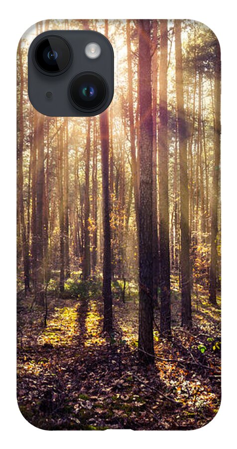 Europe iPhone 14 Case featuring the photograph Sun beams in the autumn forest by Dmytro Korol