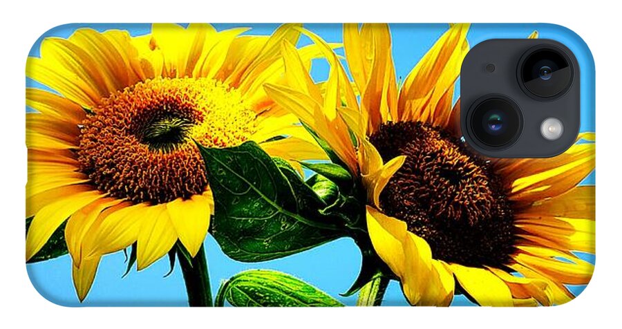 Floral iPhone 14 Case featuring the photograph Sunflower Duo by Alexis King-Glandon