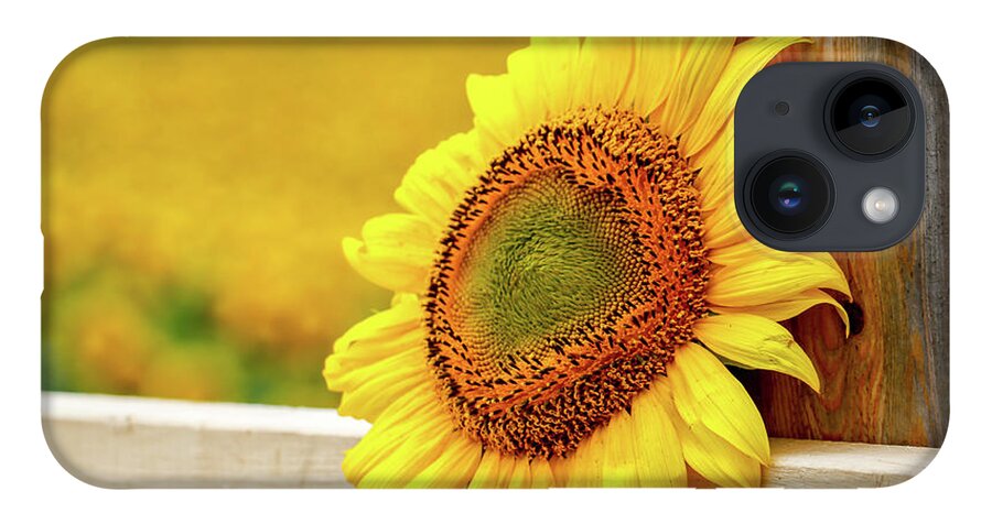 Sunflower iPhone 14 Case featuring the photograph Sunflower on the Fence by Eleanor Abramson