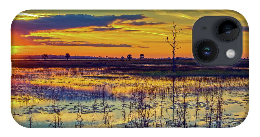 Bird iPhone Case featuring the photograph Sunrise at a Wildlife Paradise by DB Hayes