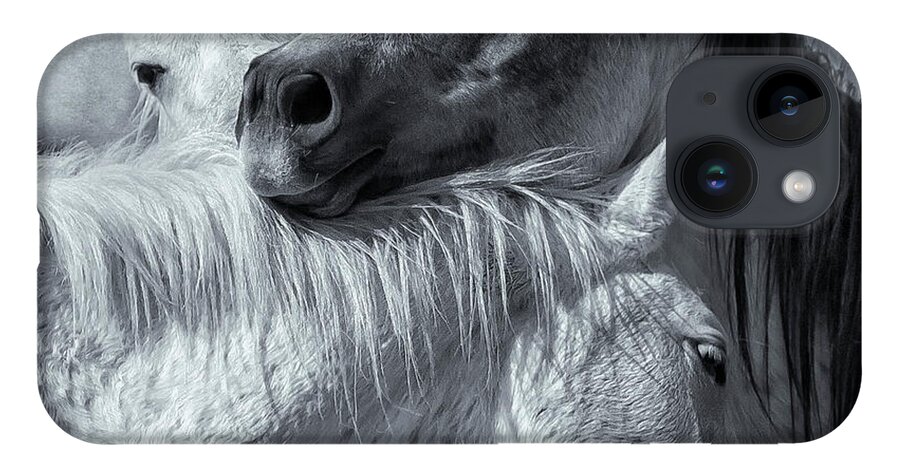 Wild Horses iPhone 14 Case featuring the photograph Surrounded by Love BW by Belinda Greb