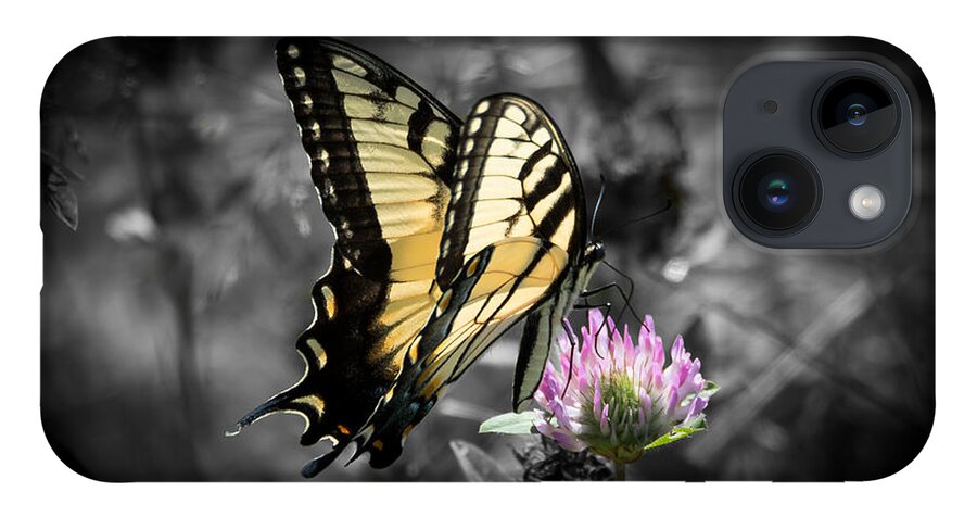 Butterfly iPhone 14 Case featuring the photograph Swallowtail Butterfly- Color Pop by Holden The Moment