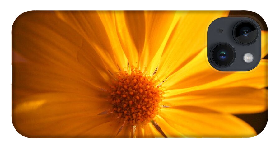 Flower iPhone Case featuring the photograph Sweet One by Julie Lueders 