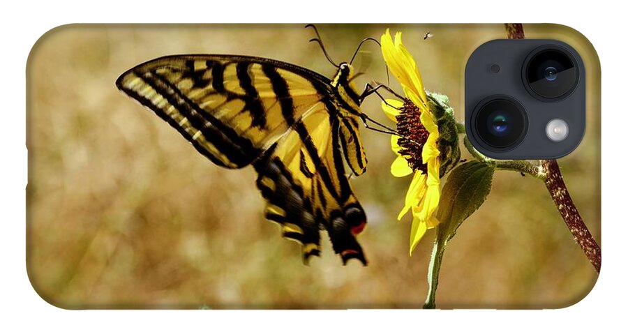 Swallowtail iPhone 14 Case featuring the photograph Sweet Summertime by Debra Martz
