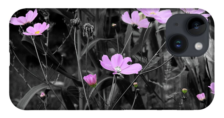 Pink iPhone 14 Case featuring the photograph Tall Pink Poppies by April Burton