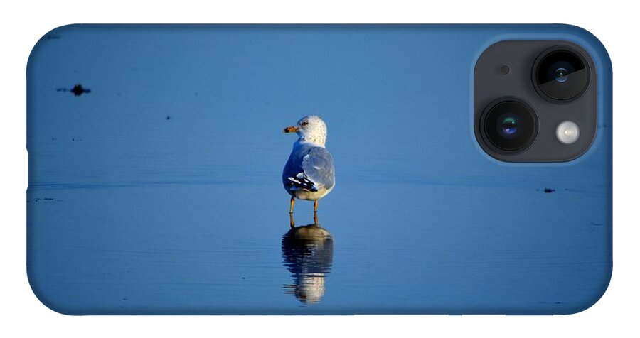 Seagull iPhone Case featuring the photograph Tan Lines by Dani McEvoy