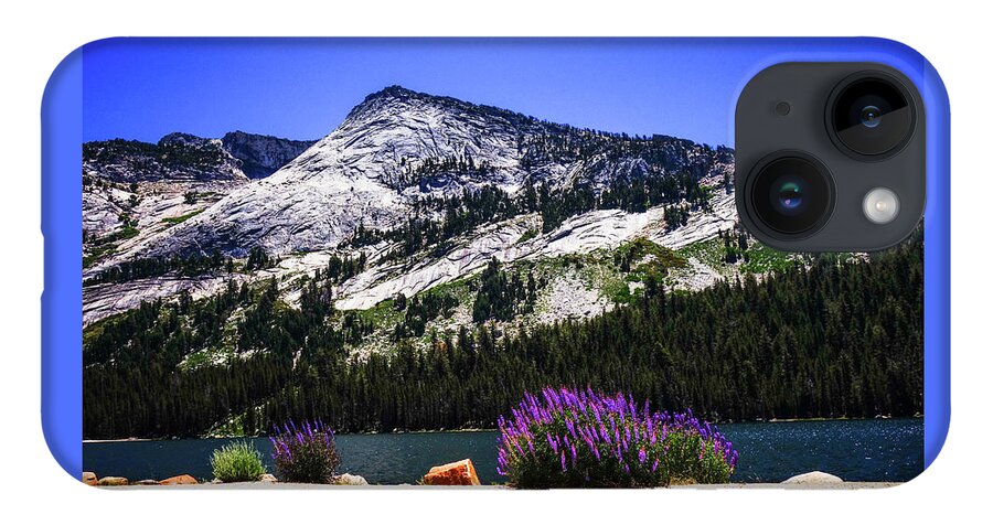 California iPhone 14 Case featuring the photograph Tanaya Lake Wildflowers Yosemite by Lawrence S Richardson Jr