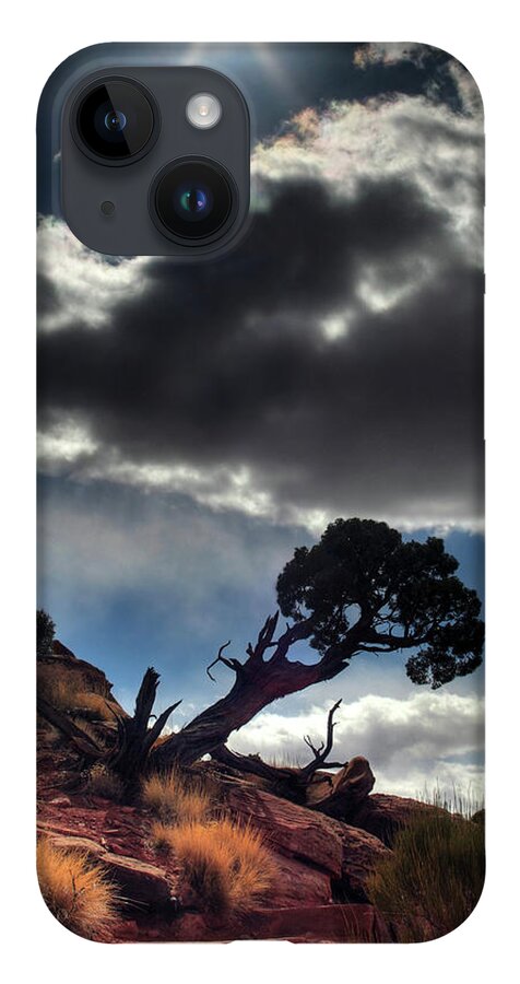 Tree Tenacity Desert Vertical Landscape Scenic Steps Sun Cloud Canyonlands Utah Moab iPhone Case featuring the photograph TenaciTree by Peter Herman