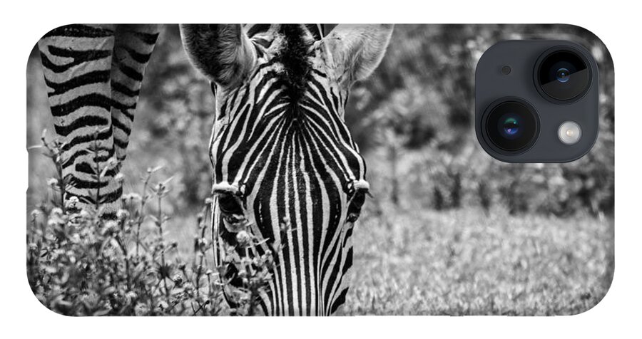 Nature iPhone 14 Case featuring the photograph The Beauty in Black n White by George Kenhan