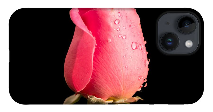 Flower iPhone 14 Case featuring the photograph The Beauty of a Rose by Ed Clark