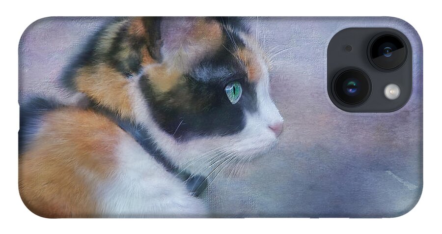 Cat iPhone Case featuring the digital art The Calico Staredown by Colleen Taylor