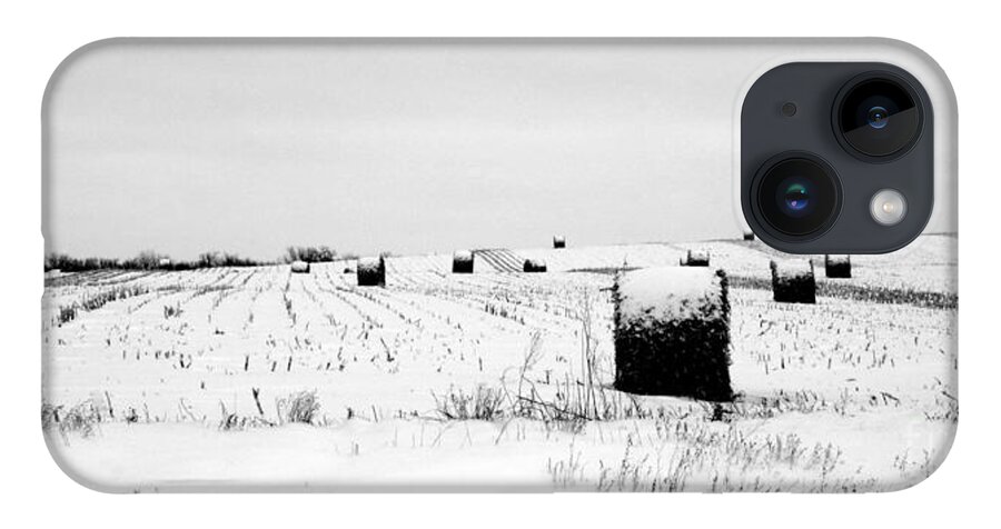 Snow iPhone 14 Case featuring the photograph The Dotted Landscape by Julie Lueders 