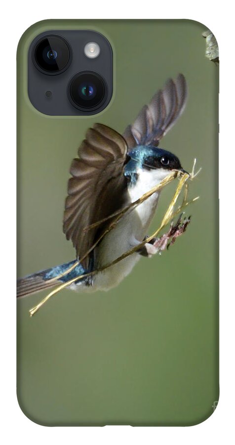 Tree Swallow iPhone 14 Case featuring the photograph The Finishing Touches by Amy Porter