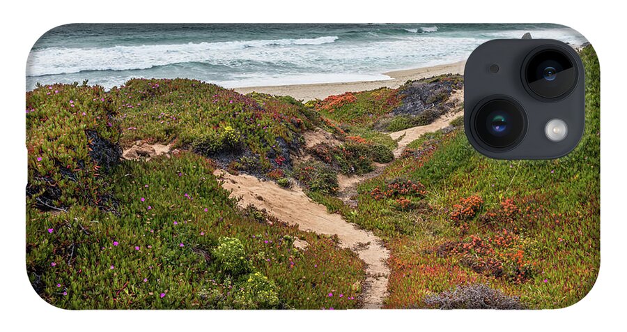 Beach iPhone 14 Case featuring the photograph The Path by Chuck Jason