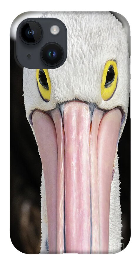Bird iPhone 14 Case featuring the photograph The Pelican Stare by Werner Padarin