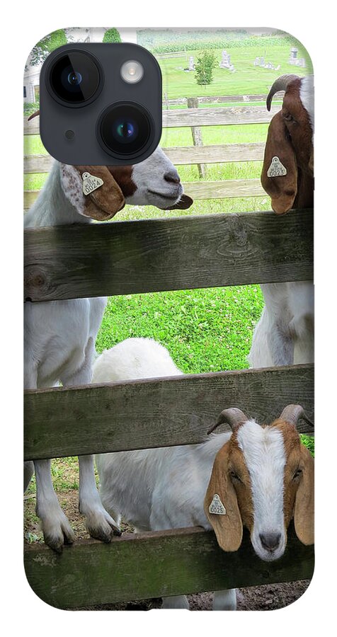 Goats iPhone 14 Case featuring the photograph The Real Three Billy Goats Gruff by Linda Stern