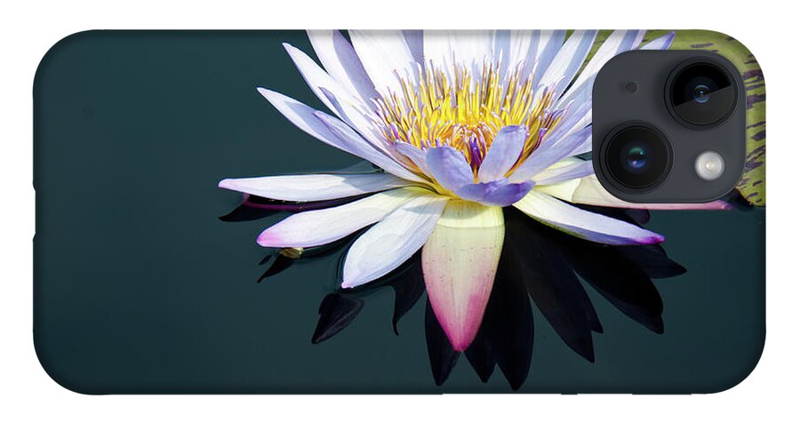 Water Lily iPhone 14 Case featuring the photograph The Water Lily by David Sutton