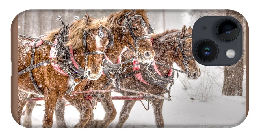 Horses iPhone 14 Case featuring the photograph Three Horses - Color by Rod Best