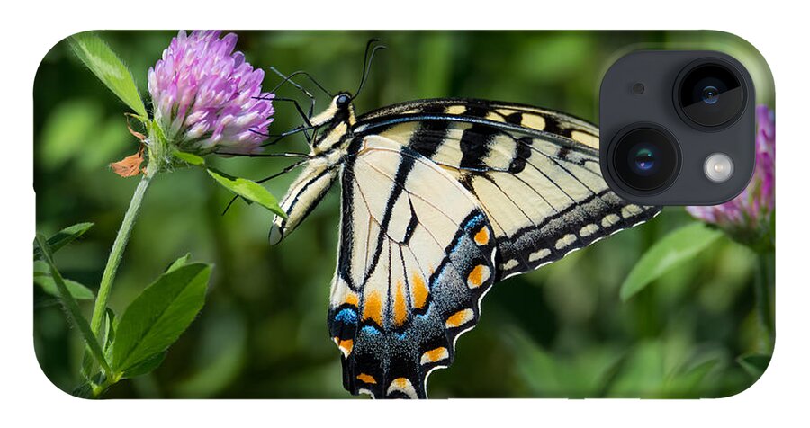 Tiger Swallowtail Butterfly iPhone 14 Case featuring the photograph Tiger Swallowtail Butterfly by Holden The Moment