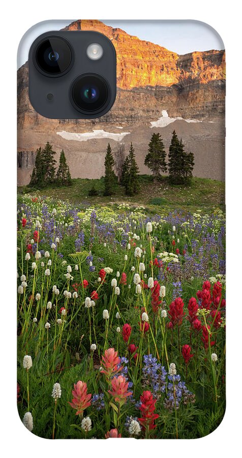 Timp iPhone 14 Case featuring the photograph Timpanogos Bouquet by Emily Dickey