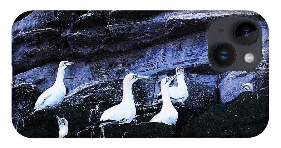 Birds iPhone Case featuring the photograph Togetherness by HweeYen Ong