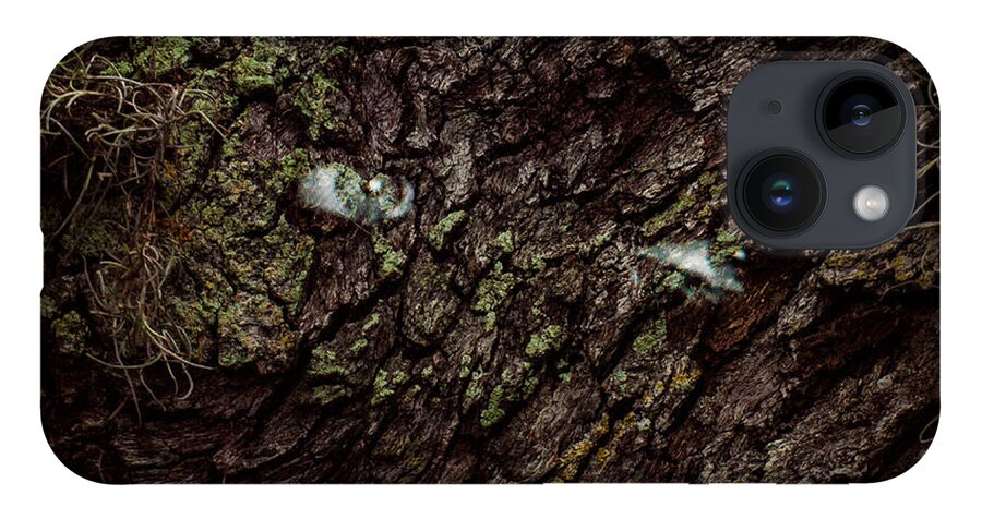 Trees iPhone 14 Case featuring the photograph Tree Eyes by Randy Sylvia