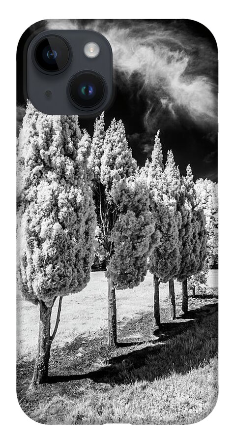 Infrared iPhone Case featuring the photograph Tree Line-Up by Roseanne Jones