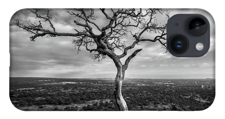Tree iPhone 14 Case featuring the photograph Tree On Enchanted Rock in Black And White by Todd Aaron