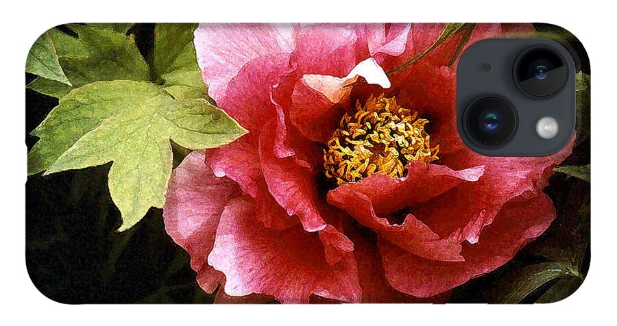 Tree Peony iPhone 14 Case featuring the photograph Tree Peony by Janis Senungetuk