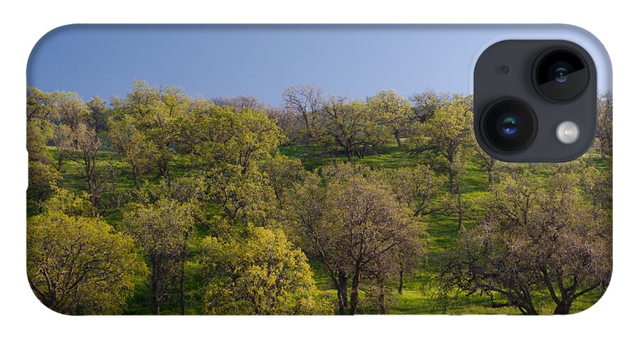 Trees iPhone 14 Case featuring the photograph Trees on Hillside by Mike Evangelist