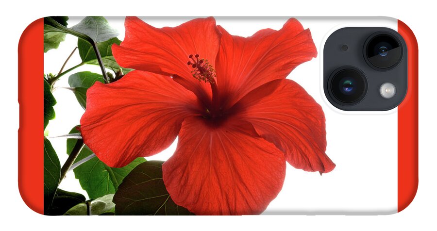 Hibiscus iPhone 14 Case featuring the photograph Tropical Bloom. by Terence Davis