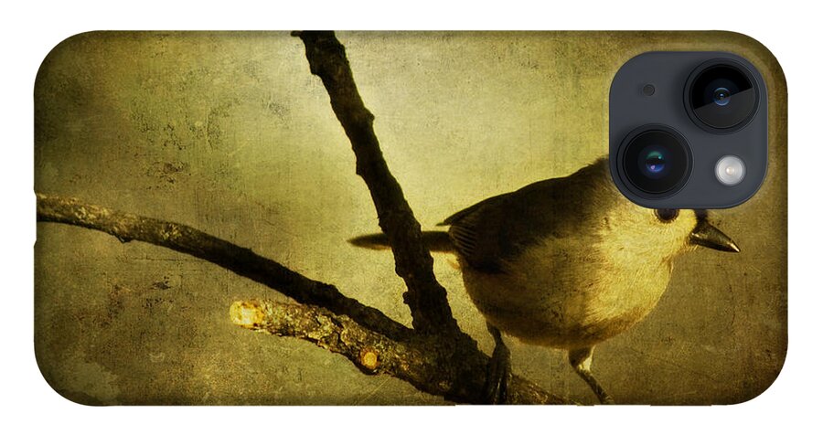 backyard Birds iPhone 14 Case featuring the photograph Tufted Titmouse - Weathered by Lana Trussell
