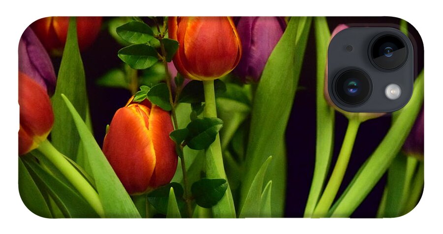 Tulips iPhone 14 Case featuring the photograph Tulips by Bonnie Bruno