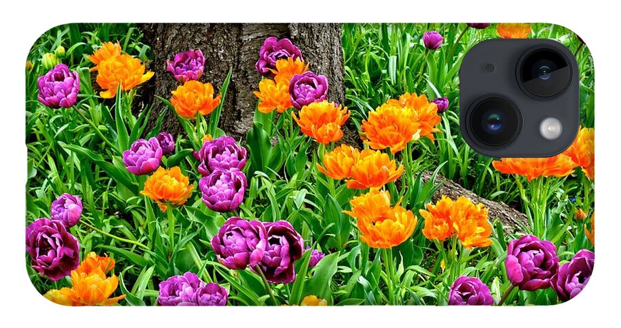 Tulips iPhone 14 Case featuring the photograph Tulips by Monika Salvan