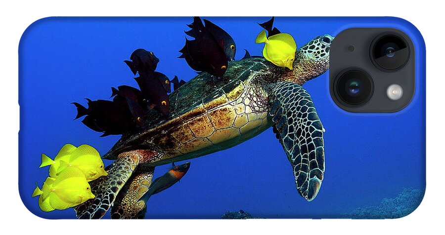 Hawaii iPhone 14 Case featuring the photograph Turtle grooming by Artesub