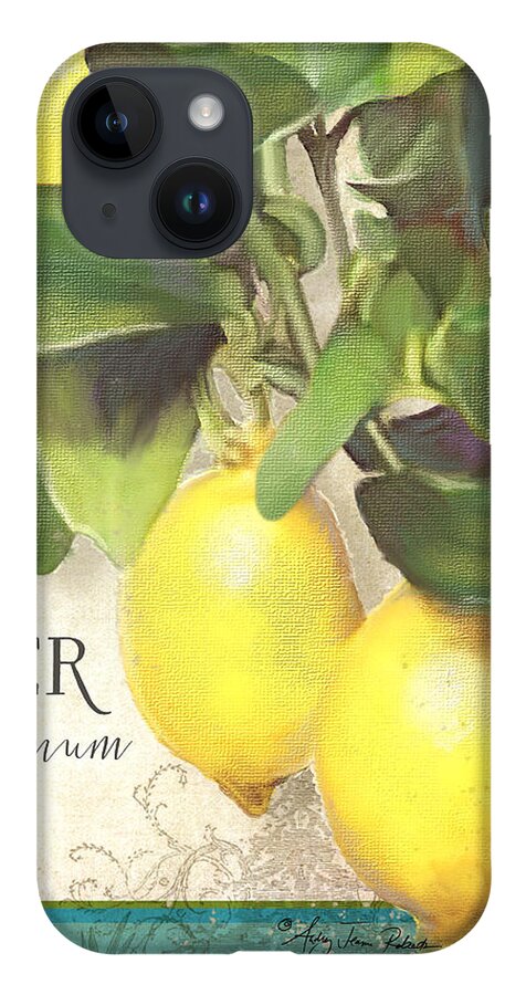 Lemon iPhone 14 Case featuring the painting Tuscan Lemon Tree - Citronier Citrus Limonum Vintage Style by Audrey Jeanne Roberts