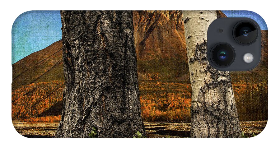 Trees iPhone 14 Case featuring the photograph Two Cottonwood Trees and Kinnikinnik by Fred Denner