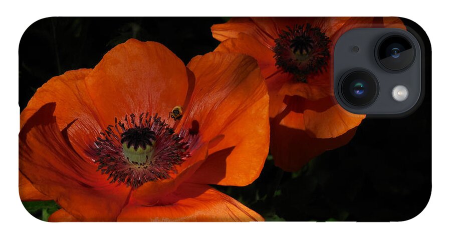Poppies iPhone 14 Case featuring the photograph Two Poppies and a Bee by Jill Westbrook