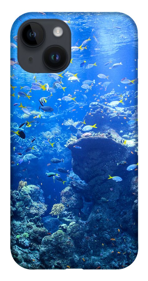 Under The Sea iPhone 14 Case featuring the photograph Under The Sea by Bonnie Follett