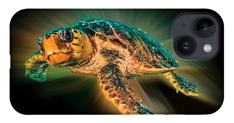 Turtle iPhone 14 Case featuring the photograph Undersea Turtle by Debra and Dave Vanderlaan