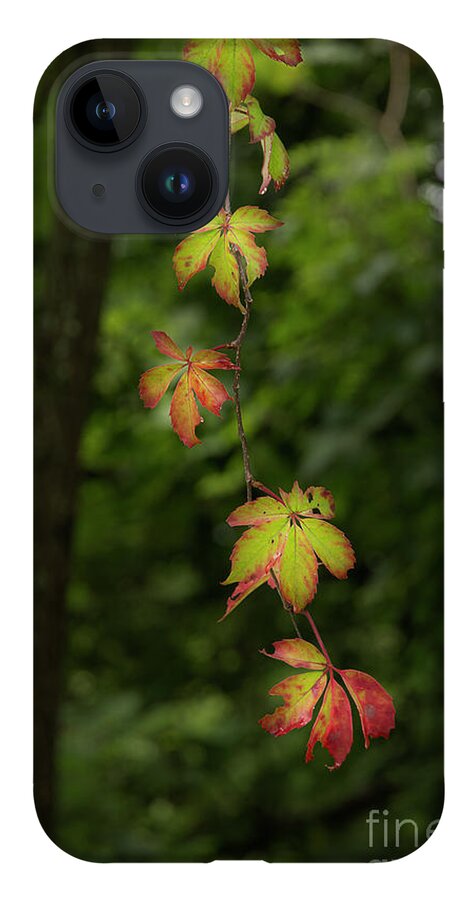 Fall iPhone 14 Case featuring the photograph Upcoming Season by Mike Eingle