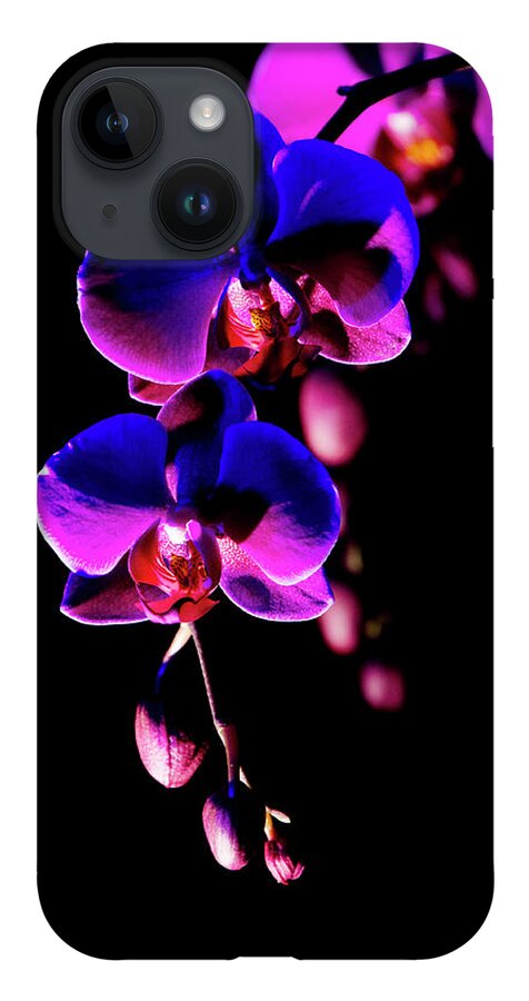 Decorative iPhone Case featuring the photograph Vibrant Orchids by Ann Bridges