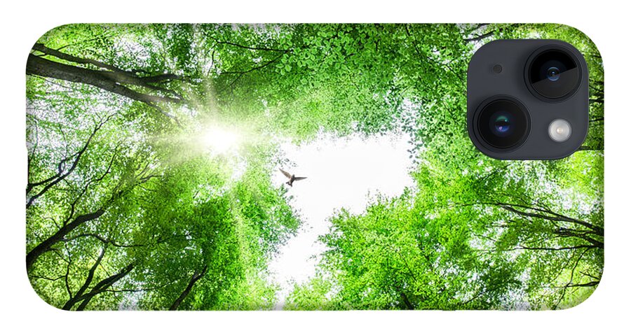Tree iPhone 14 Case featuring the photograph View through tree canopy with bird soaring by Simon Bratt