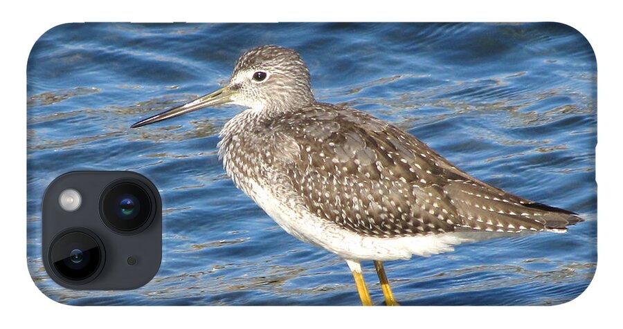 Wildlife iPhone 14 Case featuring the photograph Wading Yellowlegs by William Selander