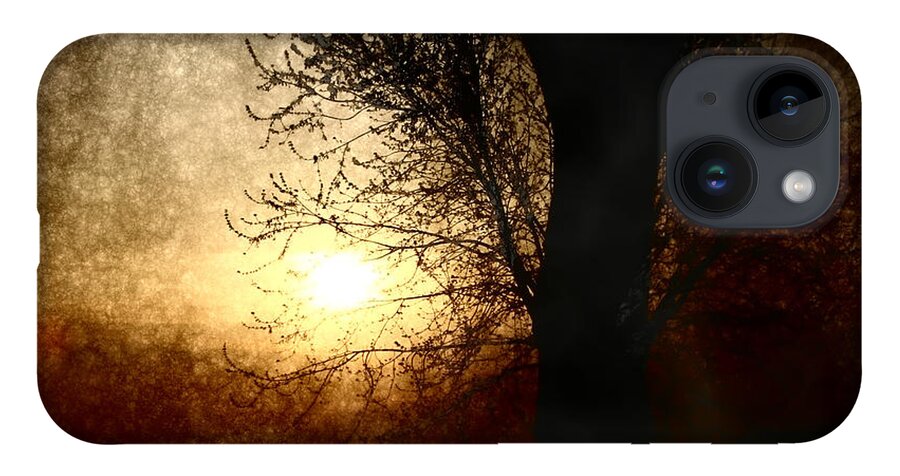 Landscape iPhone 14 Case featuring the photograph Walk Quietly Into the Night with Me. by Julie Lueders 