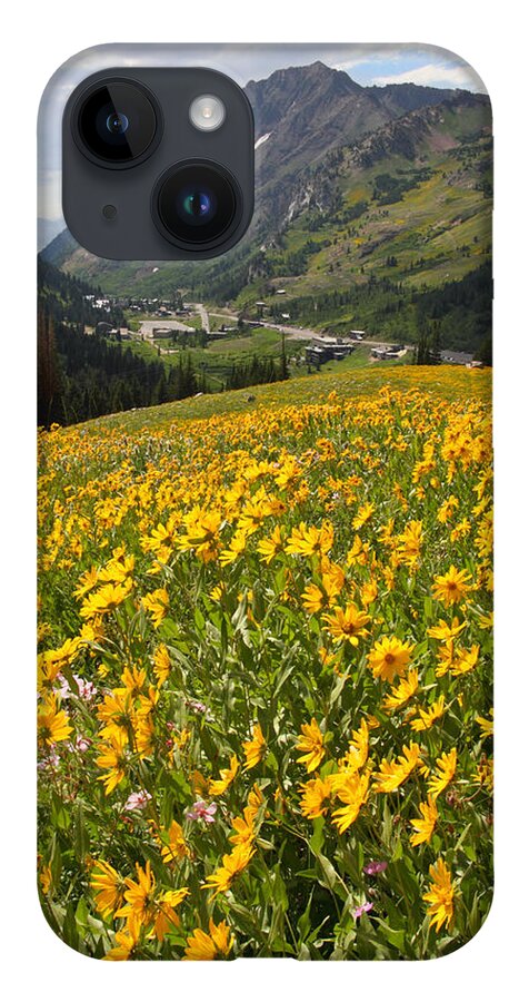 Landscape iPhone 14 Case featuring the photograph Wasatch Wildflowers by Brett Pelletier