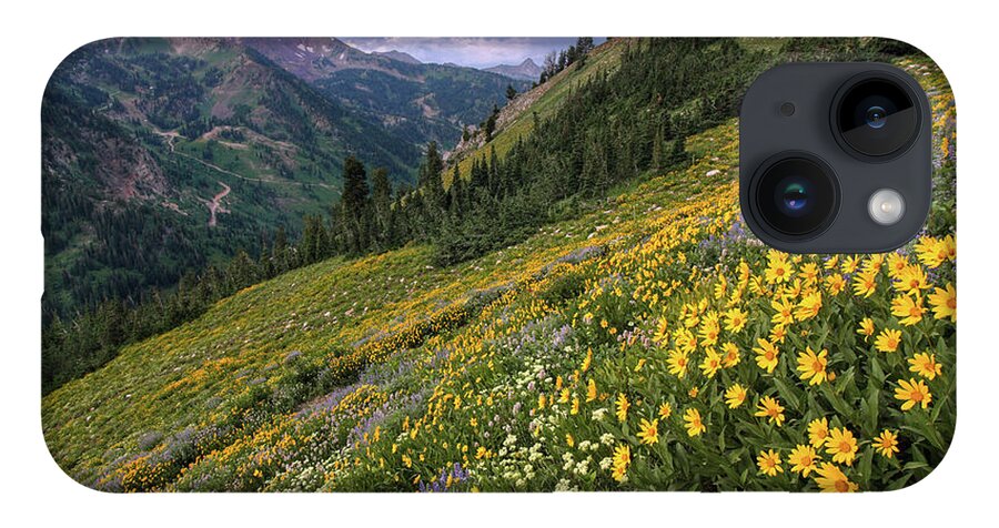 Utah iPhone 14 Case featuring the photograph Wasatch Wildflowers Canyon View and Storm - Utah by Brett Pelletier